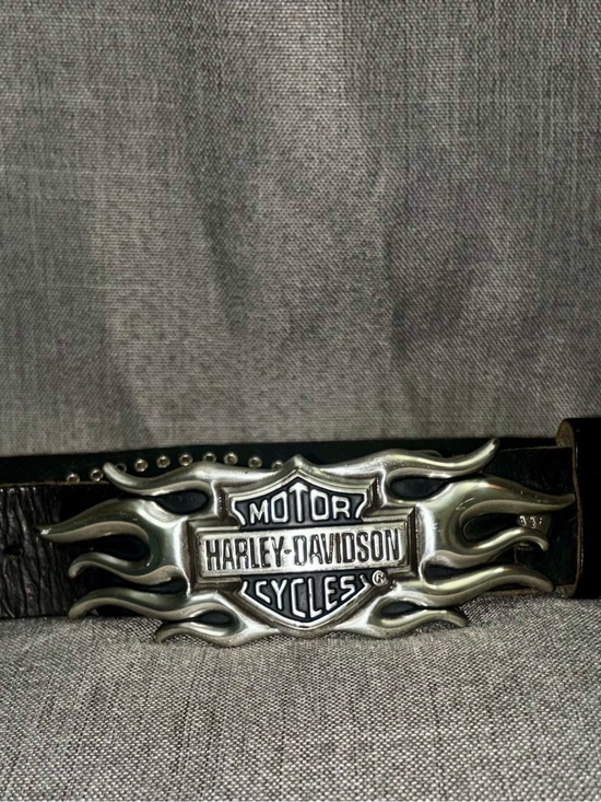 Harley-Davidson Other - Harley-Davidson Black and silver belt and buckle
